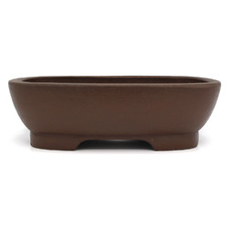 Bonsai pot JTA7638 IZUMI-YA ZENIGO