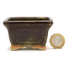 Bonsai pot JTAP1456 TOSUI MASAO