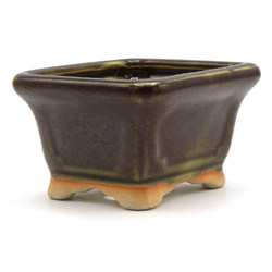 Bonsai pot JTAP1456 TOSUI MASAO View 2