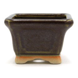 Bonsai pot JTAP1456 TOSUI MASAO View 3