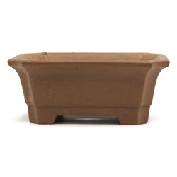 Bonsai pot B02-705 MIZUTANI