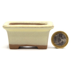 Bonsai pot B02-523