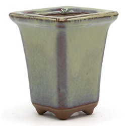 Bonsai pot B02-544 View 2