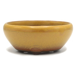 Bonsai pot B11-35A