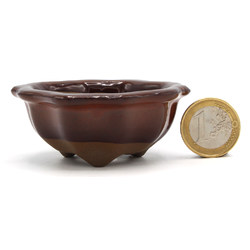 Maceta bonsái B02-575
