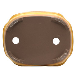 Maceta bonsái B20-47C Vista 3