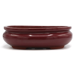 Bonsai pot GAS101-8