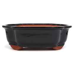 Bonsai pot GAS102-9 View 2