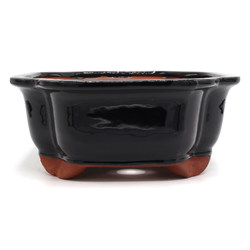 Bonsai pot GAS102-9 View 4