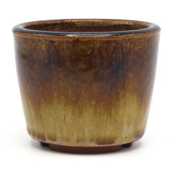 Bonsai pot JTAP1481 YOUZAN MASAKAZU