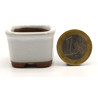 Bonsai pot DK23 BUNZAN