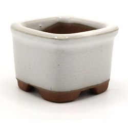 Bonsai pot DK23 BUNZAN View 2