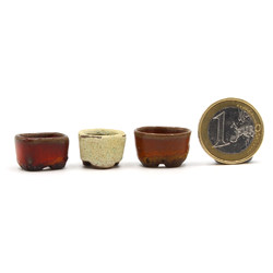 Bonsai pot SET NAU281