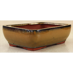 Bonsai pot HGAS121-5 View 2