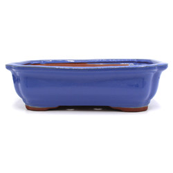 Bonsai pot copy of GAS102-7