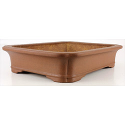 Bonsai pot JTA7660 KEIZAN View 2