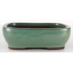 Bonsai pot CCH203A