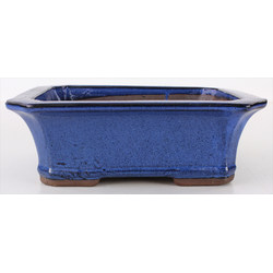 Bonsai pot CCH206A