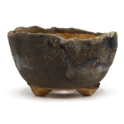 Bonsai pot JTAP1495