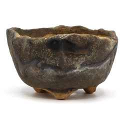 Bonsai pot JTAP1495 View 2