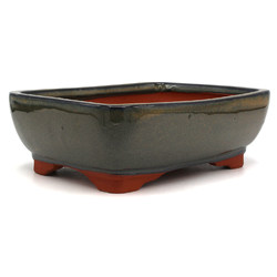 Bonsai pot GAS081-8V View 2