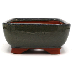 Maceta bonsái GAS081-8V Vista 3
