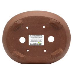 Maceta bonsái CCH220 Vista 4