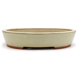 Bonsai pot CCH235 BOKUKAKAI