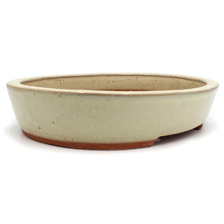 Bonsai pot CCH235 BOKUKAKAI View 2