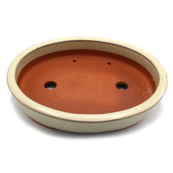Bonsai pot CCH235 BOKUKAKAI View 4