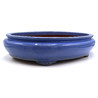 Bonsai pot CCH240 BOKUKAKAI View 2