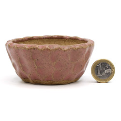 Bonsai pot JTAP1512 SHUHO SETO