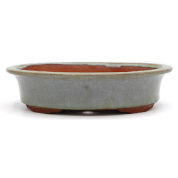 Bonsai pot JTA1520 YOUZAN MASAKAZU