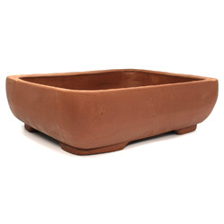 Maceta bonsái GL25B Vista 2