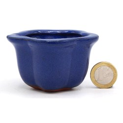 Bonsai pot GAS022-44