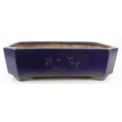 Bonsai pot JTA7688 YAMAAKI TOSHIO