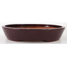 Bonsai pot CCH237 BOKUKAKAI