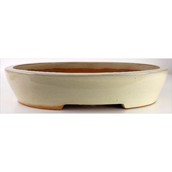 Bonsai pot CCH226 BOKUKAKAI