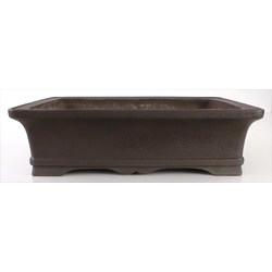 Bonsai pot JTA7681 YAMAAKI TOSHIO