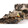 Ibishi rock for bonsai P-22 View 4