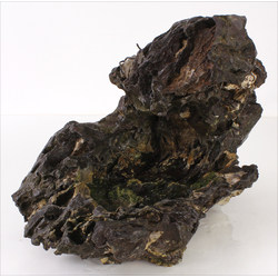 Ibishi rock for bonsai P-24 View 4