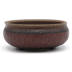 Bonsai pot NAU327 KAMEREON