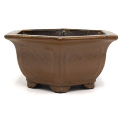 Bonsai pot CCH264