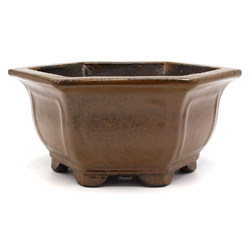 Bonsai pot CCH264 View 2