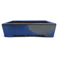 Bonsai pot JTA7765 SHOUZAN AKIRA