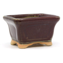 Bonsai pot JTAP1519 TOSUI MASAO View 2