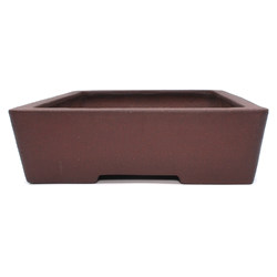 Bonsai pot JTA7775 YAMAAKI TOSHIO View 3