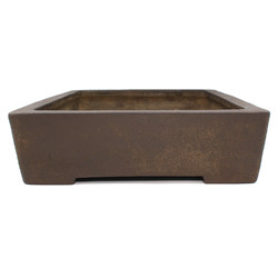 Bonsai pot JTA7784 YAMAAKI TOSHIO View 3