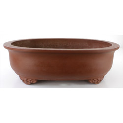 Bonsai pot JTA7738 MORISHITA