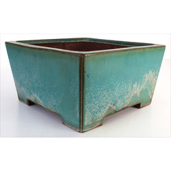 Bonsai pot JTA7745 KAKUZAN KAKUYUKI View 2